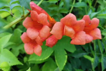 電商物流倉儲項(xiàng)目規(guī)劃要點(diǎn)