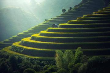 中國物流業(yè)十大綠色低碳典型